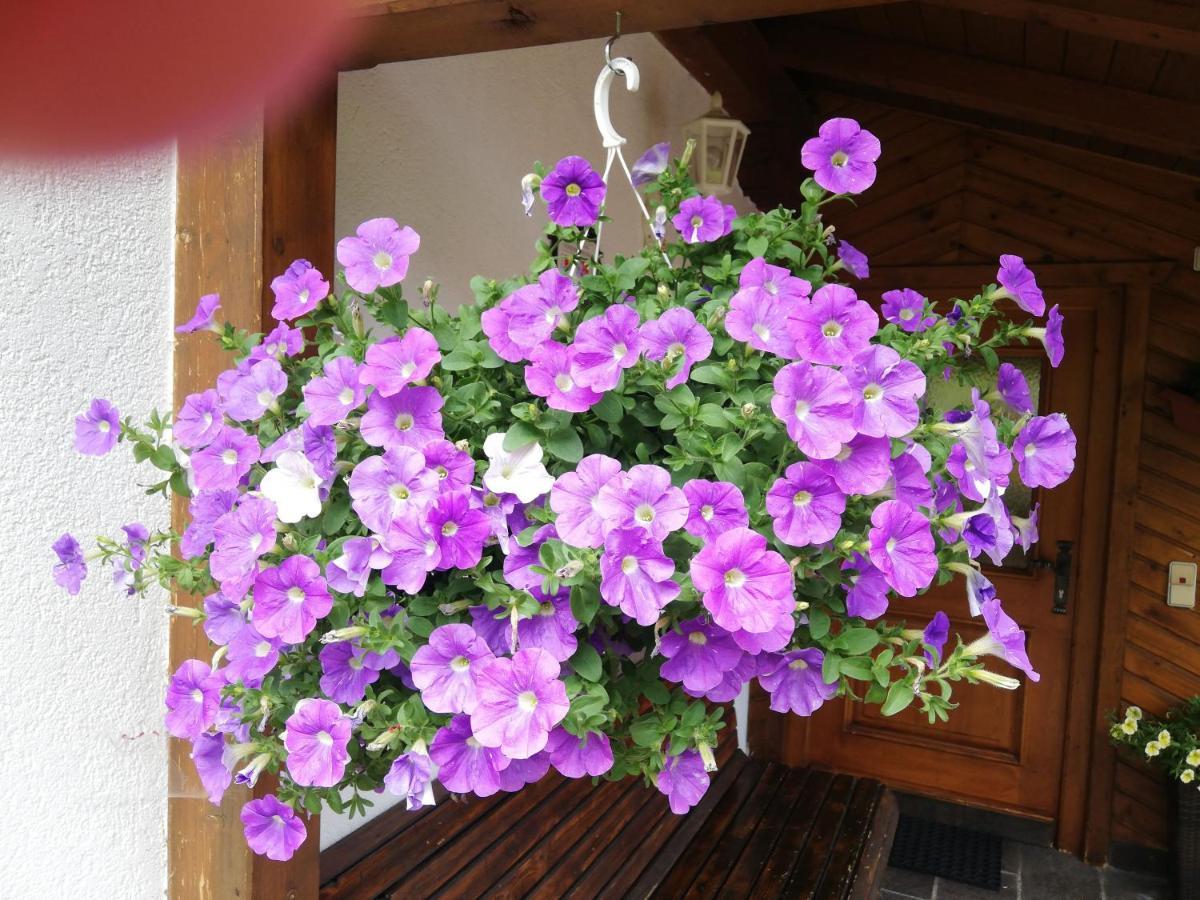 Haus Annemarie Apartments Kartitsch - Hochpustertal Экстерьер фото