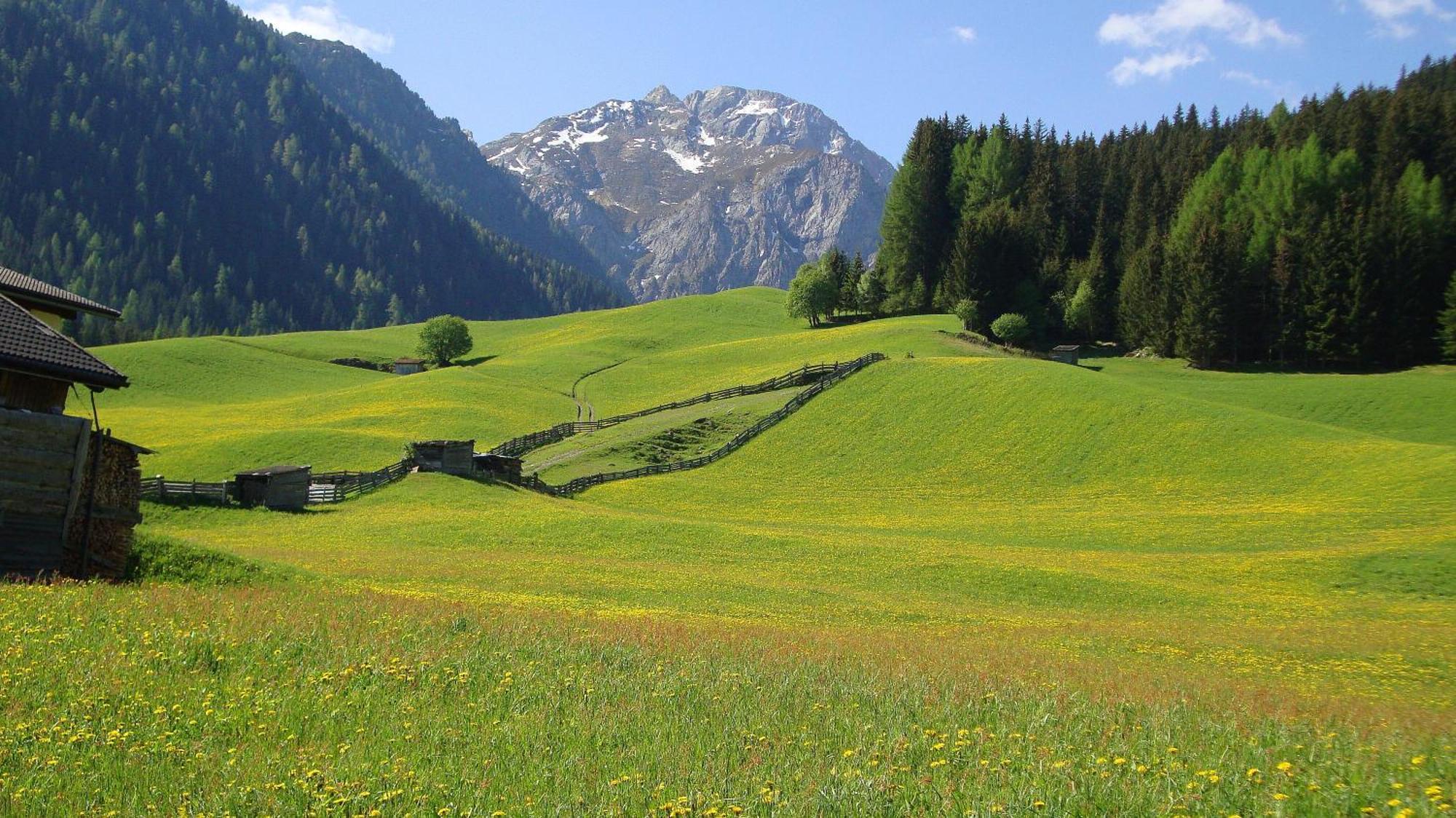 Haus Annemarie Apartments Kartitsch - Hochpustertal Экстерьер фото
